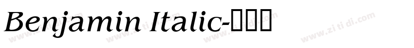 Benjamin Italic字体转换